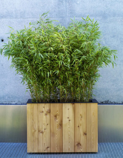 Designový dřevěný truhlík boo