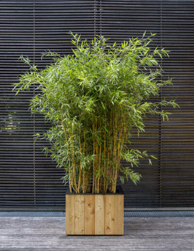 Velkoobjemový truhlík boo