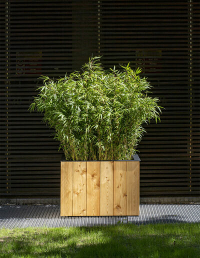 Designový truhlík boo