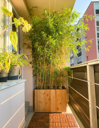 Zútulní každý balkon | truhlík boo